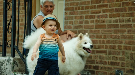 Boy and His Dog