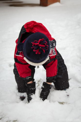 Snowball Maker