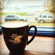 Blue Horse Mug